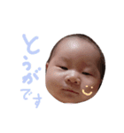 とうがスタンプ（個別スタンプ：20）