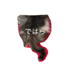 子猫のにゃーむ（個別スタンプ：18）