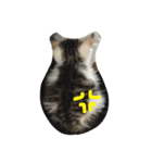 子猫のにゃーむ（個別スタンプ：30）