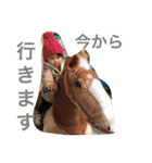 尾崎姉妹（個別スタンプ：11）