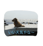 ダックス レン（個別スタンプ：4）
