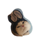 ネーコ（個別スタンプ：6）