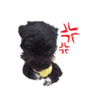 ホッピーすたんぷ（個別スタンプ：4）