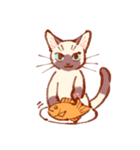 たいやきねこスタンプ（個別スタンプ：2）