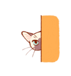 たいやきねこスタンプ（個別スタンプ：22）