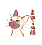 たいやきねこスタンプ（個別スタンプ：29）
