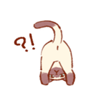 たいやきねこスタンプ（個別スタンプ：33）