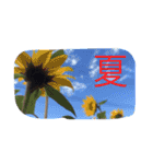 きなこの日常（個別スタンプ：22）