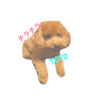 可愛いtotoたん（個別スタンプ：1）