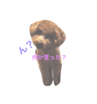 可愛いtotoたん（個別スタンプ：3）