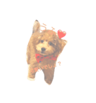 可愛いtotoたん（個別スタンプ：4）
