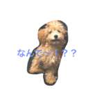 可愛いtotoたん（個別スタンプ：6）