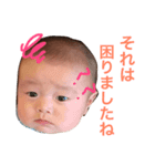 日刊まめぞう 2（個別スタンプ：1）