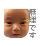 日刊まめぞう 2（個別スタンプ：5）
