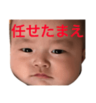 日刊まめぞう 2（個別スタンプ：8）