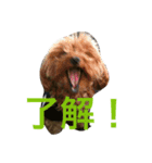 じじとばば2（個別スタンプ：9）
