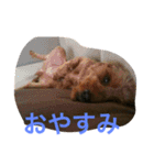 じじとばば2（個別スタンプ：12）