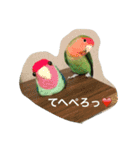 インコとデグーとウサギとヤモリとリス達（個別スタンプ：7）