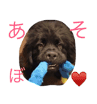 うちの動物園（個別スタンプ：3）
