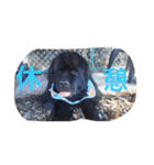 うちの動物園（個別スタンプ：13）