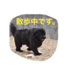 うちの動物園（個別スタンプ：15）