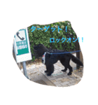 うちの動物園（個別スタンプ：18）