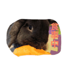 うちの動物園（個別スタンプ：19）