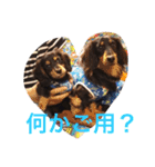 うちの動物園（個別スタンプ：20）