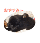 うちの動物園（個別スタンプ：21）