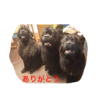 うちの動物園（個別スタンプ：24）