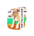 バズのスタンプ（個別スタンプ：1）