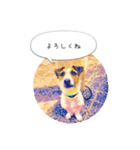 バズのスタンプ（個別スタンプ：2）
