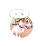 バズのスタンプ（個別スタンプ：5）