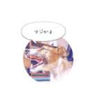 バズのスタンプ（個別スタンプ：6）