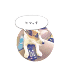 バズのスタンプ（個別スタンプ：8）