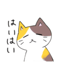 ◎ネコちゃんスタンプ◎（個別スタンプ：9）
