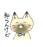 ◎ネコちゃんスタンプ◎（個別スタンプ：10）