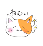 ◎ネコちゃんスタンプ◎（個別スタンプ：13）