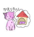 ◎ネコちゃんスタンプ◎（個別スタンプ：15）