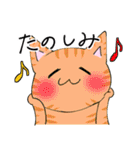 ◎ネコちゃんスタンプ◎（個別スタンプ：27）