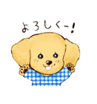 まるっこ犬（個別スタンプ：1）