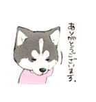 まるっこ犬（個別スタンプ：20）