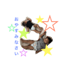 ニコニコニコニコ（個別スタンプ：13）