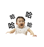 WuZZ and three small cat's happy life（個別スタンプ：6）