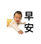 WuZZ and three small cat's happy life（個別スタンプ：11）