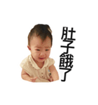 WuZZ and three small cat's happy life（個別スタンプ：13）