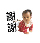 WuZZ and three small cat's happy life（個別スタンプ：20）