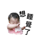 WuZZ and three small cat's happy life（個別スタンプ：24）