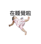 WuZZ and three small cat's happy life（個別スタンプ：26）