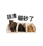 WuZZ and three small cat's happy life（個別スタンプ：39）
